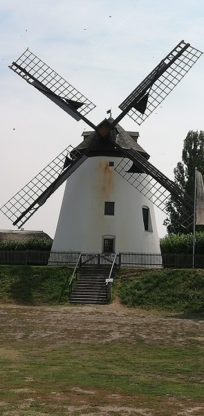 advertising-for-windmill-of-podersdorf-en-image